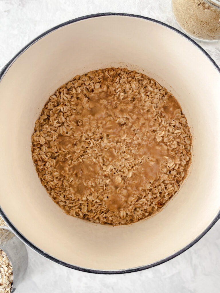 Fluffy cooked stovetop apple cinnamon oatmeal in a white pot.