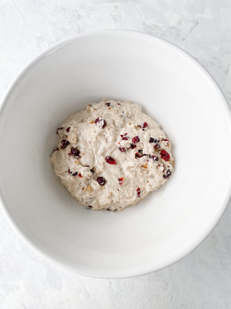 Cranberry walnut bread dough, before rising.